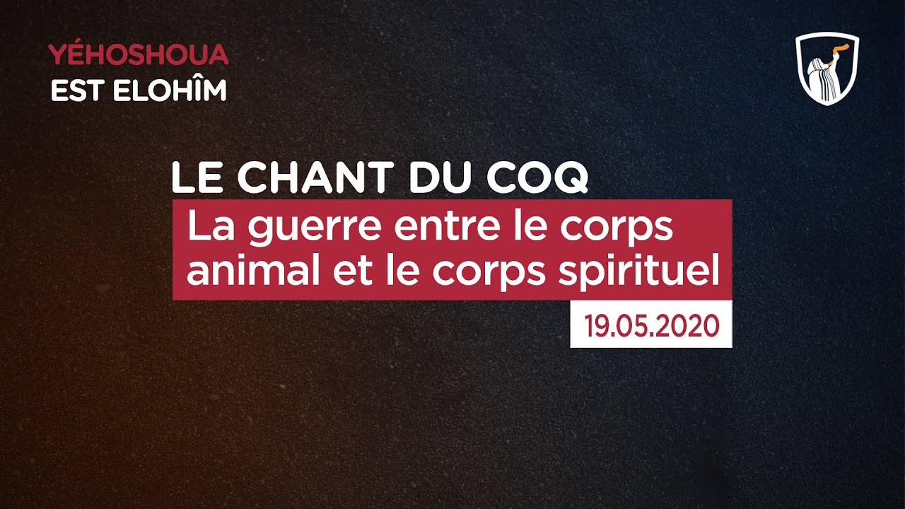 Thumbnail of video: La guerre entre le corps animal et le corps spirituel
