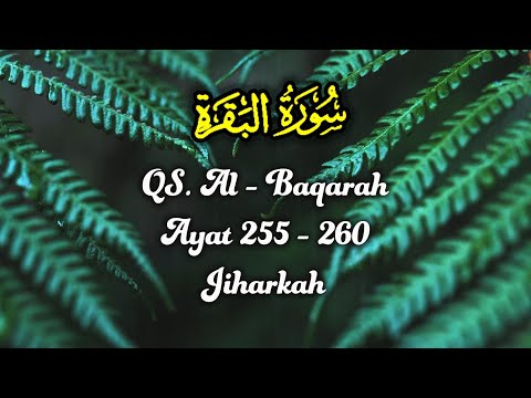 AL - BAQARAH 255-260 ( سورة البقره ) / JIHARKAH MERDU / AYAT KURSI /IMAM SHOLAT MERDU / MUROTTAL