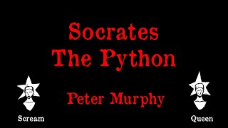 Peter Murphy - Socrates The Python - Karaoke