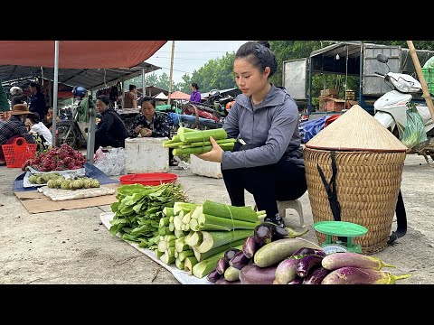 Harvest mosquito nets, eggplants, and choy sum to bring to the market to sell