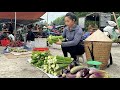 Harvest Mosquito Nets Eggplants And Choy Sum To Bring To The Market To Sell