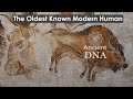 The Oldest Modern Humans known from Ancient DNA [Volume correction]