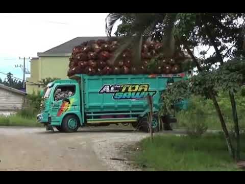 niat baik pasti hasilnya berkah