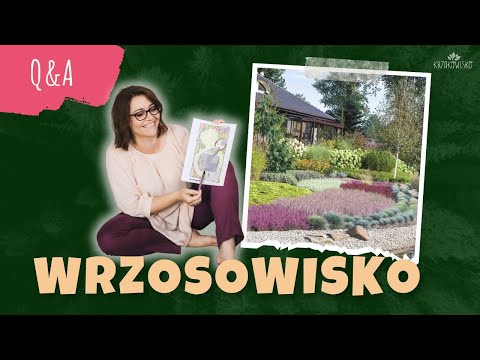 Heath in the garden 🍀 Answers to questions