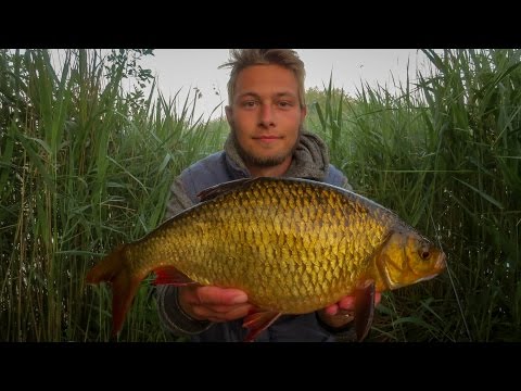 Morgenfiskeri efter store rudskaller