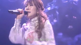 SHIDAX presents BoA &quot;Winter Love&quot; X&#39;mas LIVE (2006)