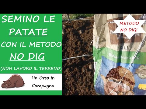 , title : 'Semina delle patate con il metodo No Dig. Cos'è la coltivazione No Dig!'