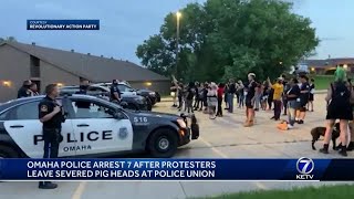 Omaha Police arrest 7 after protestors leave severed pig heads at police union