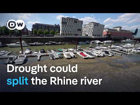 Why some cargo ships can no longer navigate Europe's busiest trade route | DW News
