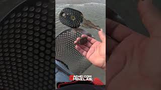 6 de dezembro de 2025