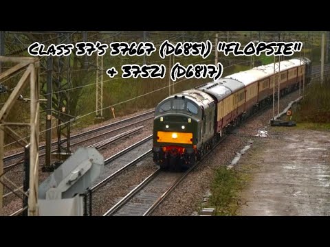 Locomotive Services Limited Class 37’s 37667 (D6851) and 37521 (D6817) | Euston to Crewe
