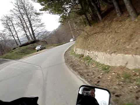 peFelieTeam PaltinuComarnic0409