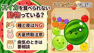 スイカを食べられない動物っているのかなあ？