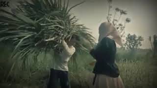 Download lagu Story wa Istri soleha mp3