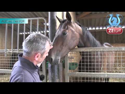 Tour de Cour chez Gilles DELACOUR (Part1) - A2TURF.COM