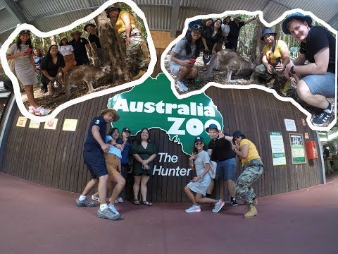 TRAVEL DIARY: Australia Zoo