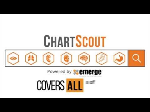 ChartScout Powered by Emerge logo