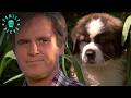 The Newtons Get A New Puppy Beethoven 1992