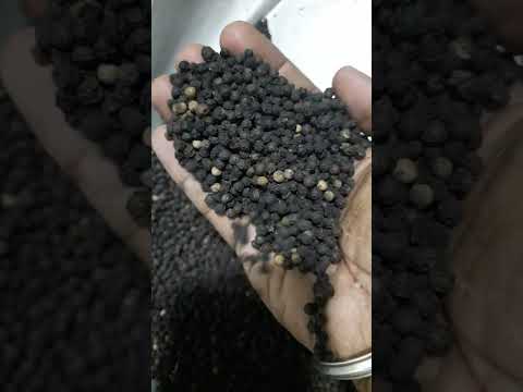 Organic Black Pepper (Tamil Nadu), 1 Kg