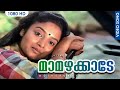 മാമഴക്കാടേ Maamazhakkaade Song Adiverukal Malayalam Movie Song Mohanlal Karthika