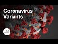 Coronavirus Variants - What They Mean