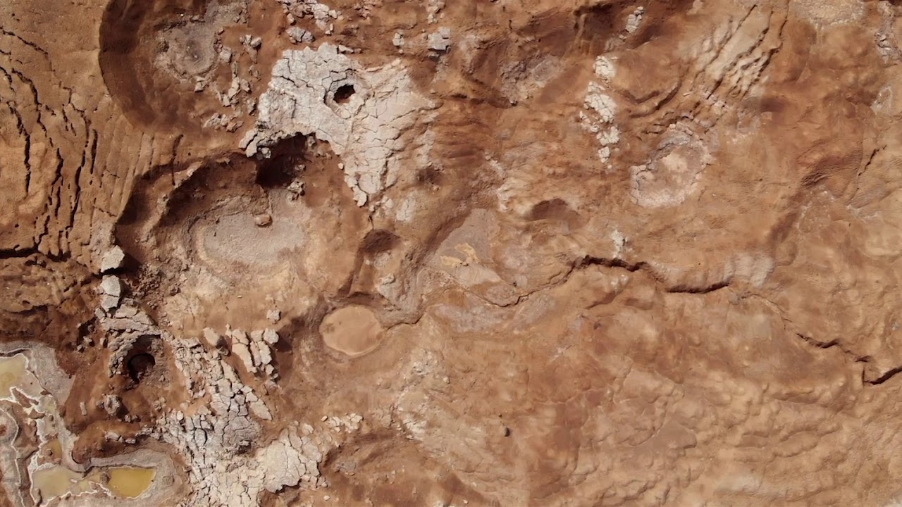 Dead Sea Dying — Official Trailer