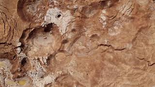 Trailer | Dead Sea Dying | Visions du Réel 2019 | Katharina Rabl & Rebecca Zehr