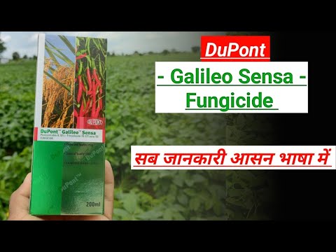 galileo sensa fungicide uses || picoxystrobin + tricyclazole fungicide uses || dupont || a2z farming