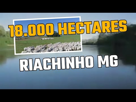 Pecuária com outorga de água, 30km da cidade, R$18 mil o ha. Oportunidade!