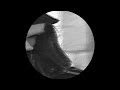 Avicii Wake Me Up S L O W E D R E V E R B Mr Low Pitch Remix
