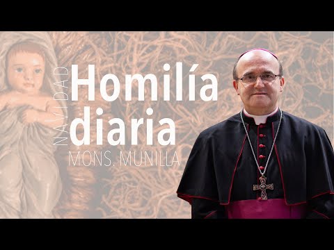 Homily 8-1-2022 // Christmas Day, January 8