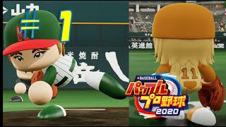 【パワプロ2020】架空チームだけで大会モード#1【VSダイナソーズ】