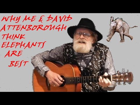 Why Me and David Attenborough Think Elephants are Best