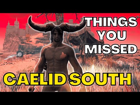 The Top Things You Missed In SOUTHERN CAELID! [probably] - Elden Ring Tutorial/Guide/Walkthrough