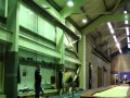 Goofy Goofy Gymnastics