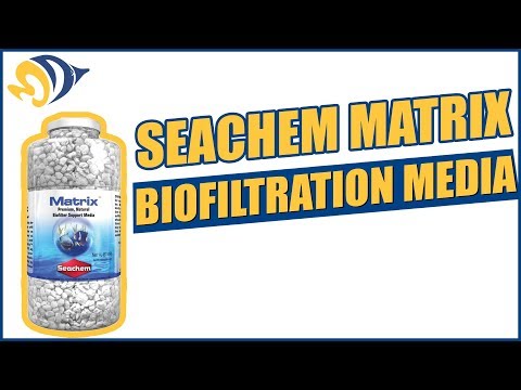 Seachem Matrix Biofiltration Media: What YOU Need to Know