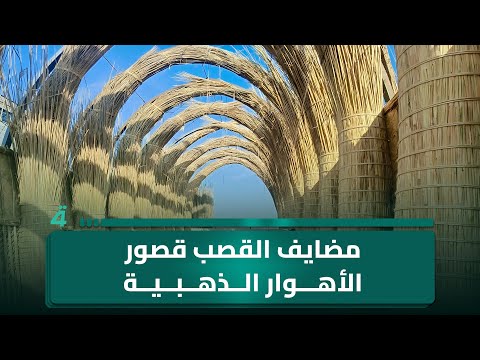 فيديو | مضايف القصب .. قصور الأهوار الذهبية.. تعرف على أسرار بنائها وعدد الرجال الذين يشيدونها