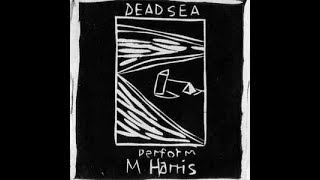 Dead C - With Help From Max Harris