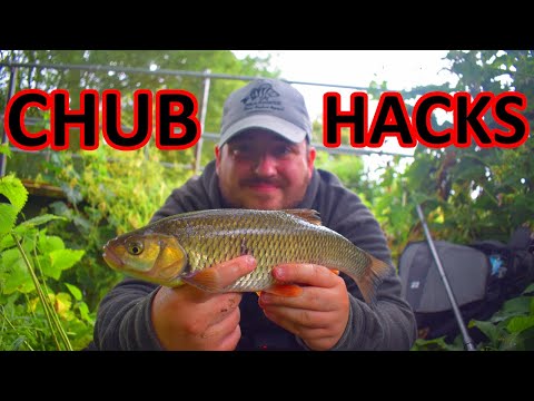 HOW TO CATCH CHUB ON LURES