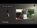 Televizorius Sony W800 serija KD32W800P1AEP | 32" | HD | Android TV