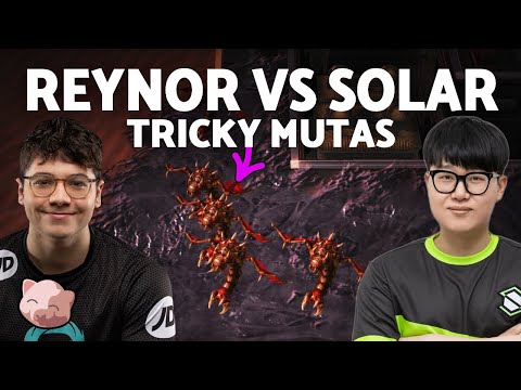 Reynor's Tricky Muta Build vs Solar | PiGFest Group A Winners Match (Bo3 ZvZ) - StarCraft 2