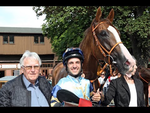 Dresden: bwin Sommerpreis 2019 (L) - Sieger: Sun at work