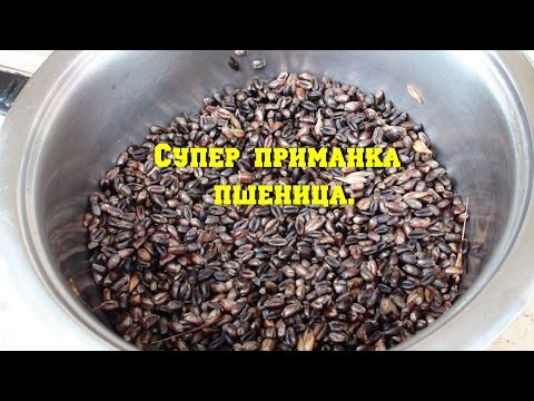 Приманка.Карась, плотва, карп.