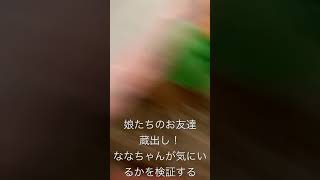 トイプードルの夏夏。どれが好きかな？調べてみよう！