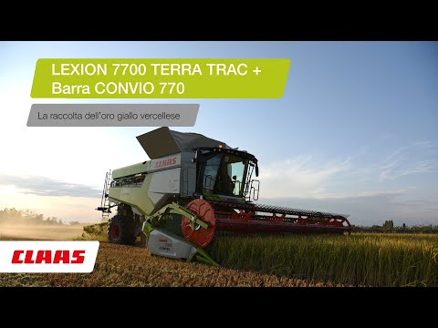 CLAAS In Campo 2020- LEXION 7700 TT + CONVIO 770 - Raccolta del riso vercellese