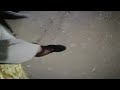 Crossdresser Walking At Night In The Park In Black Pantyhose And In Mini Skirt And High Hells