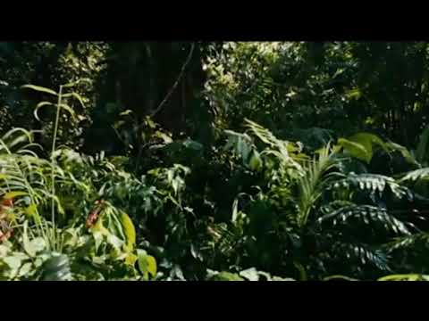 Denja Pheinaü - Kihikon Yemtuh (Official Music Video)