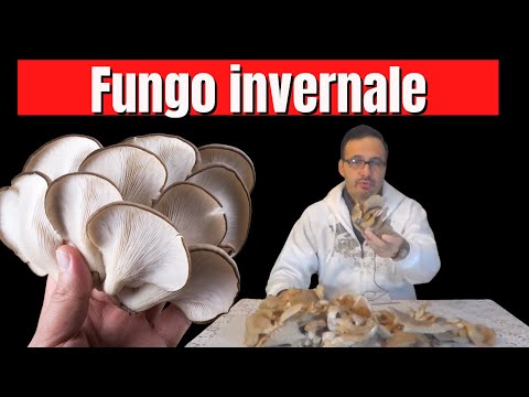 Come ci sono vermi dopo targhe Pulizia di parassiti con naturale