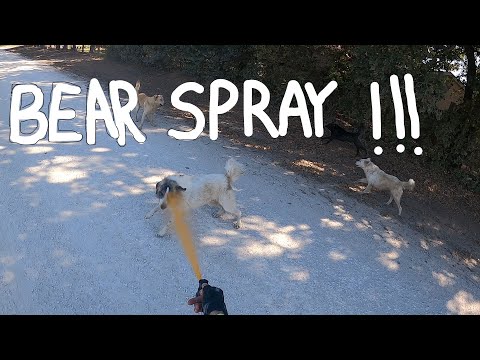 DOG ATTACK w/BIG TEX/Amputee Cyclist Aaron Smith/Bear Spray/Pepper Spray/Mace/pimienta/Self Defense