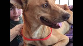 We found her on the side of the road.